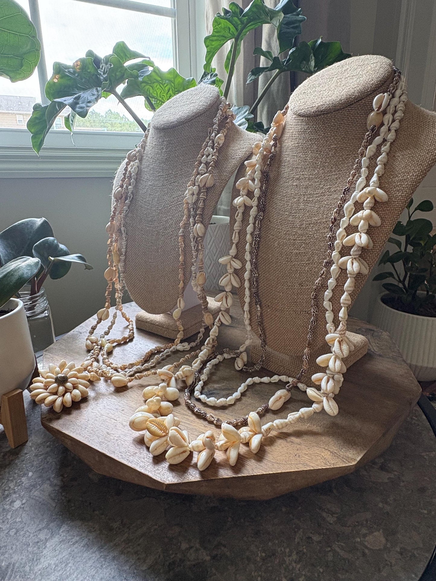 Seashell Lei Set of 6: Natural Pacific Island Celebration Leis