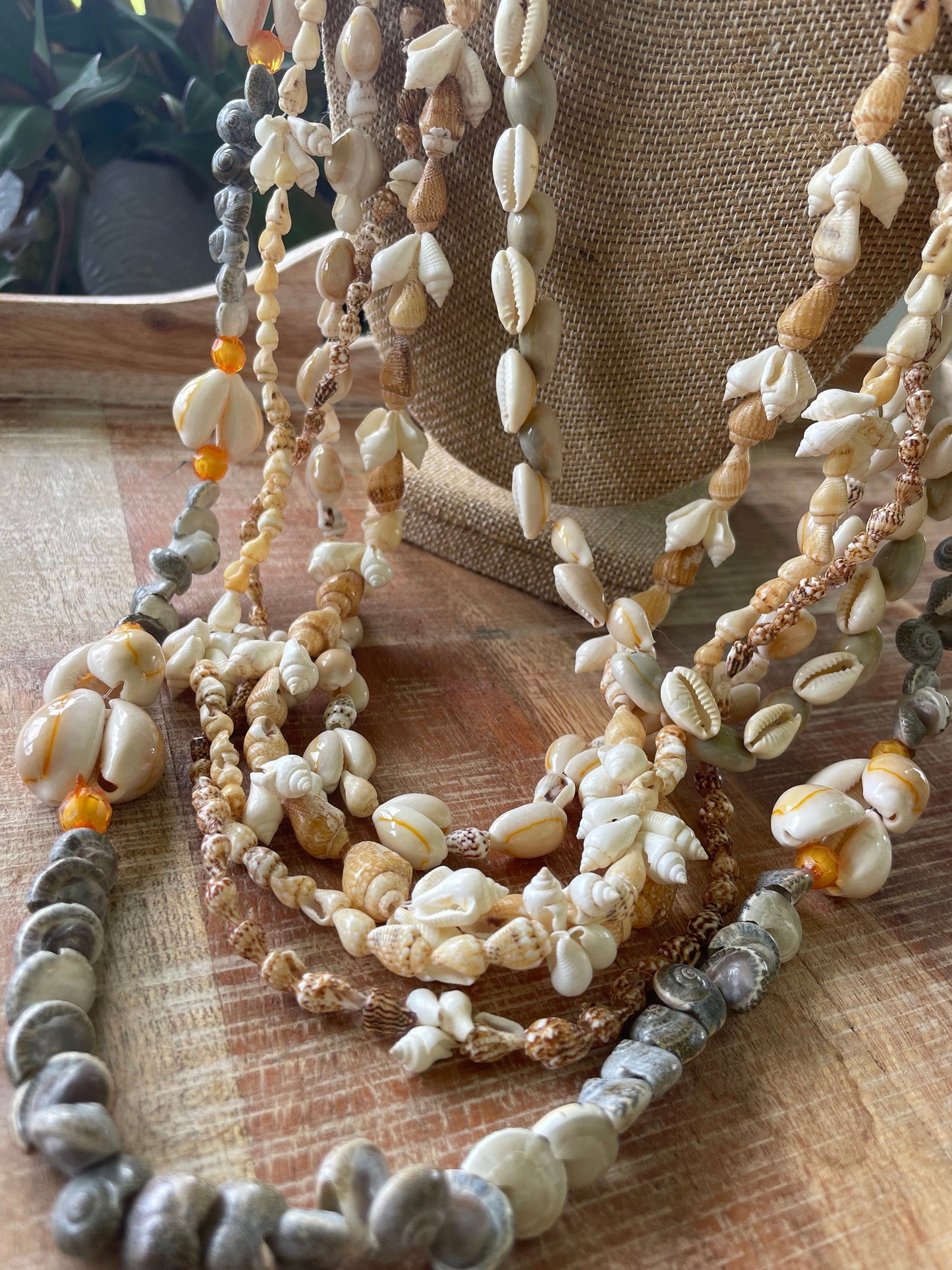 Authentic Seashell Lei Set – Polynesian Celebration Leis, Graduation, Wedding