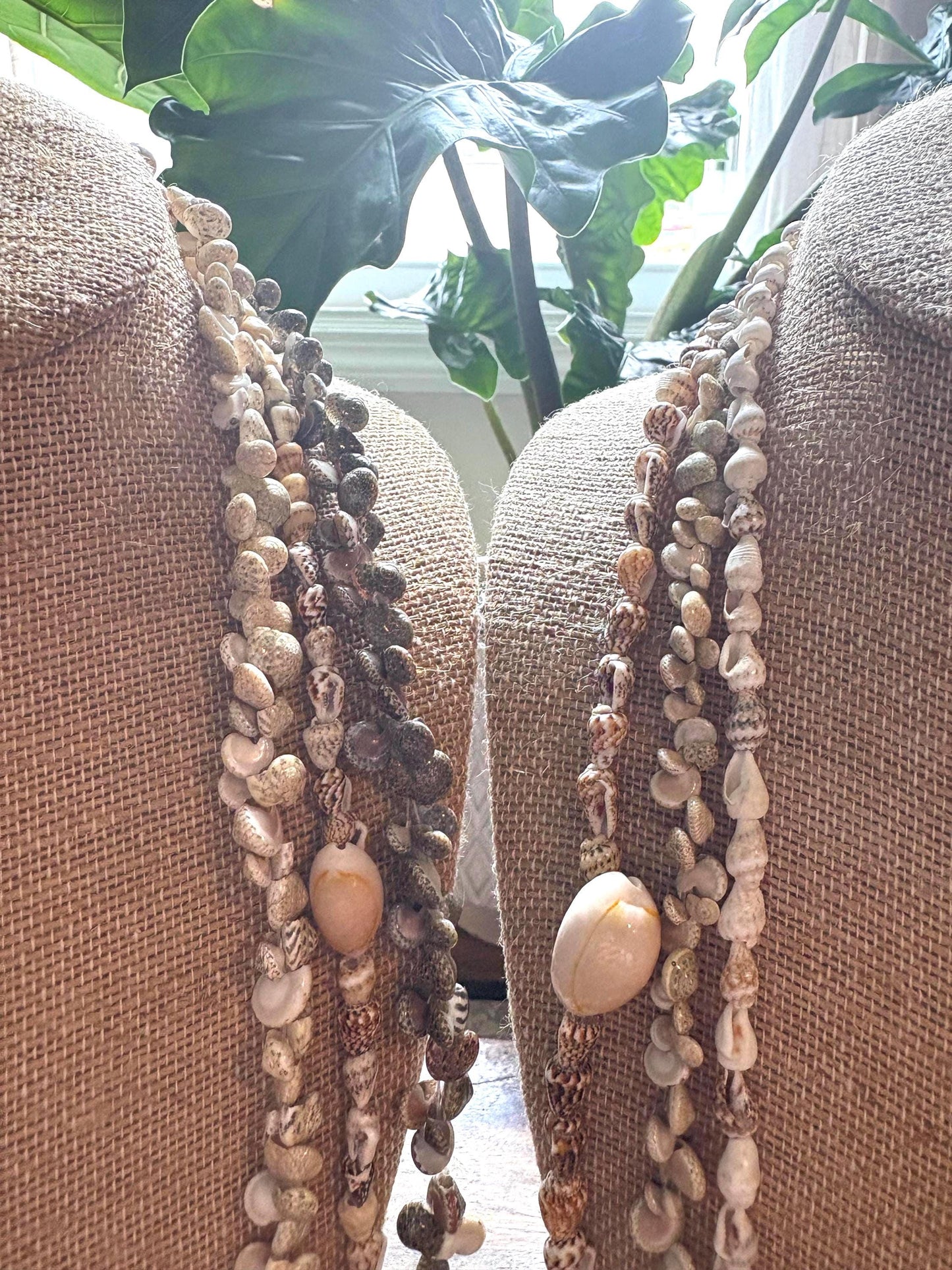 Seashell Lei Set: Authentic Pacific Ocean Shells, Graduation, Wedding