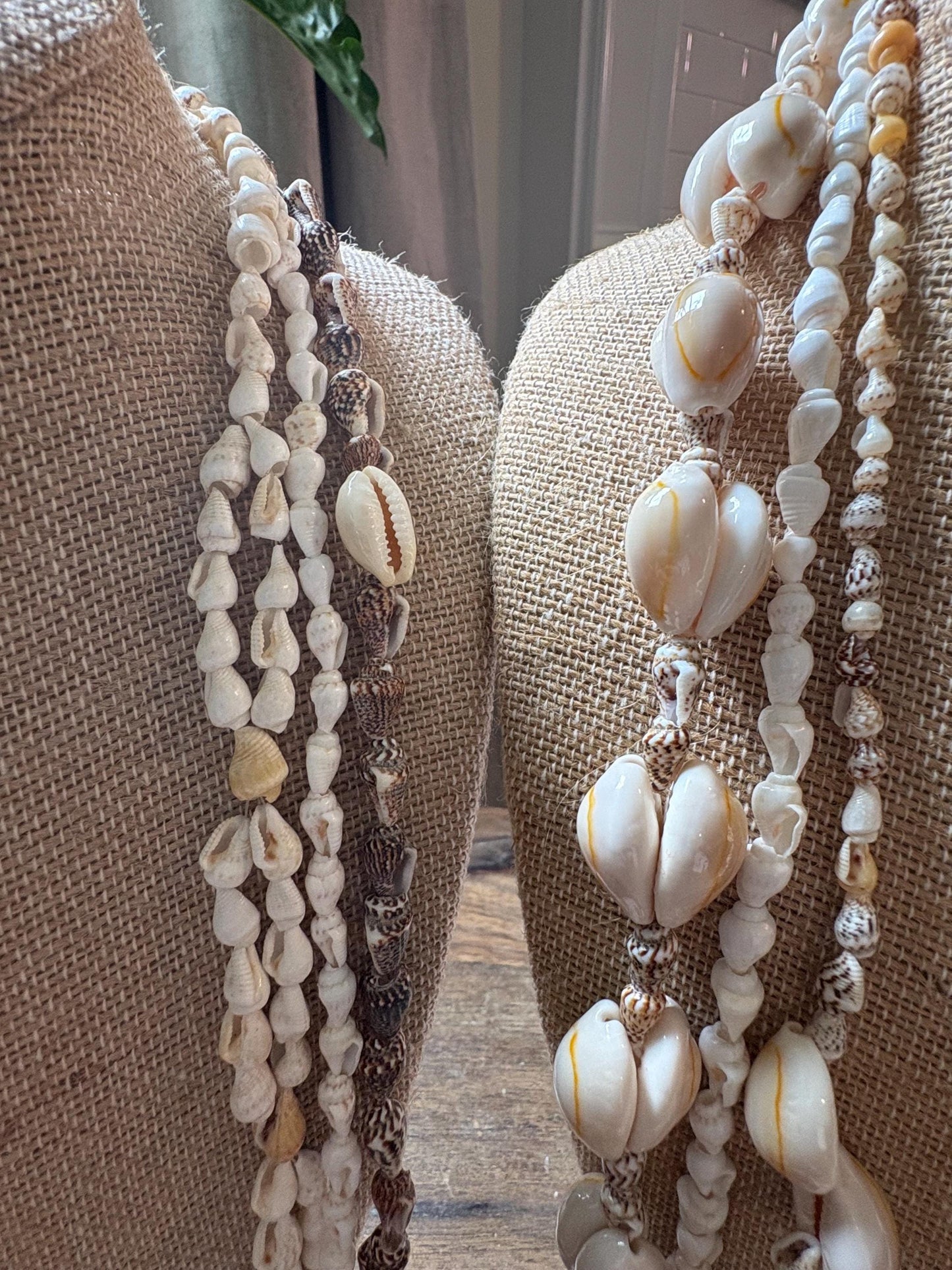 Seashell Lei Set: 6 Pacific Ocean Leis, Graduation Wedding Celebration