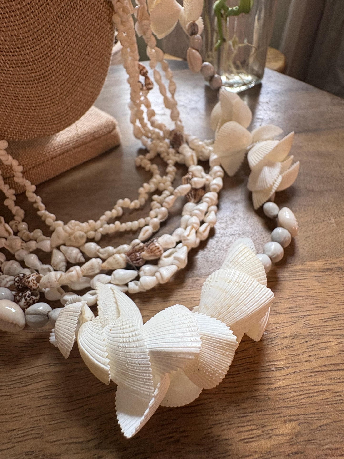 Seashell Lei Set: Pacific Ocean Shells for Celebration, Graduation, Wedding