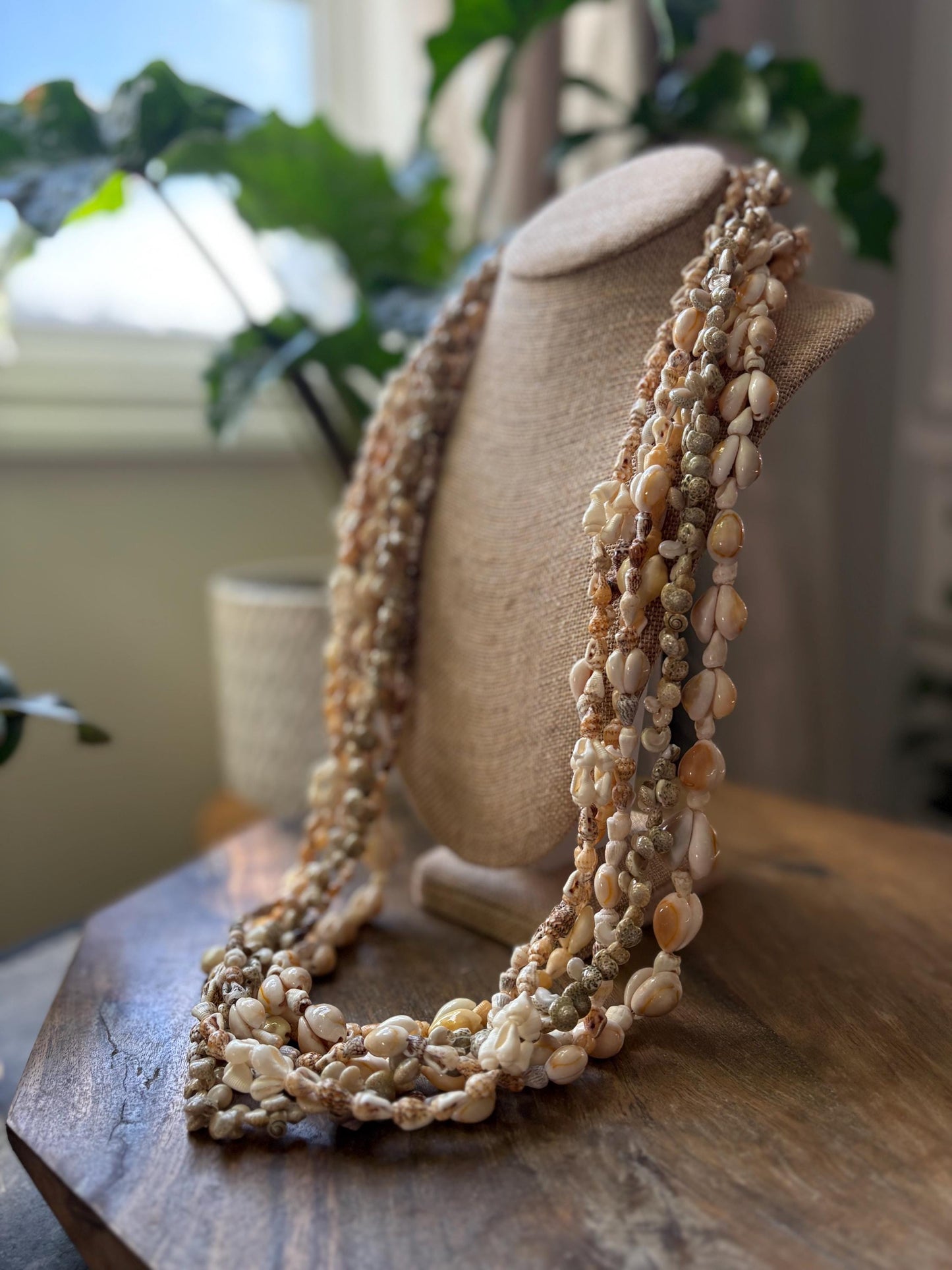 Polynesian and Micronesian Collection of 6 Seashell Leis - Graduation, Celebration, Wedding, Birthday, Performance Leis