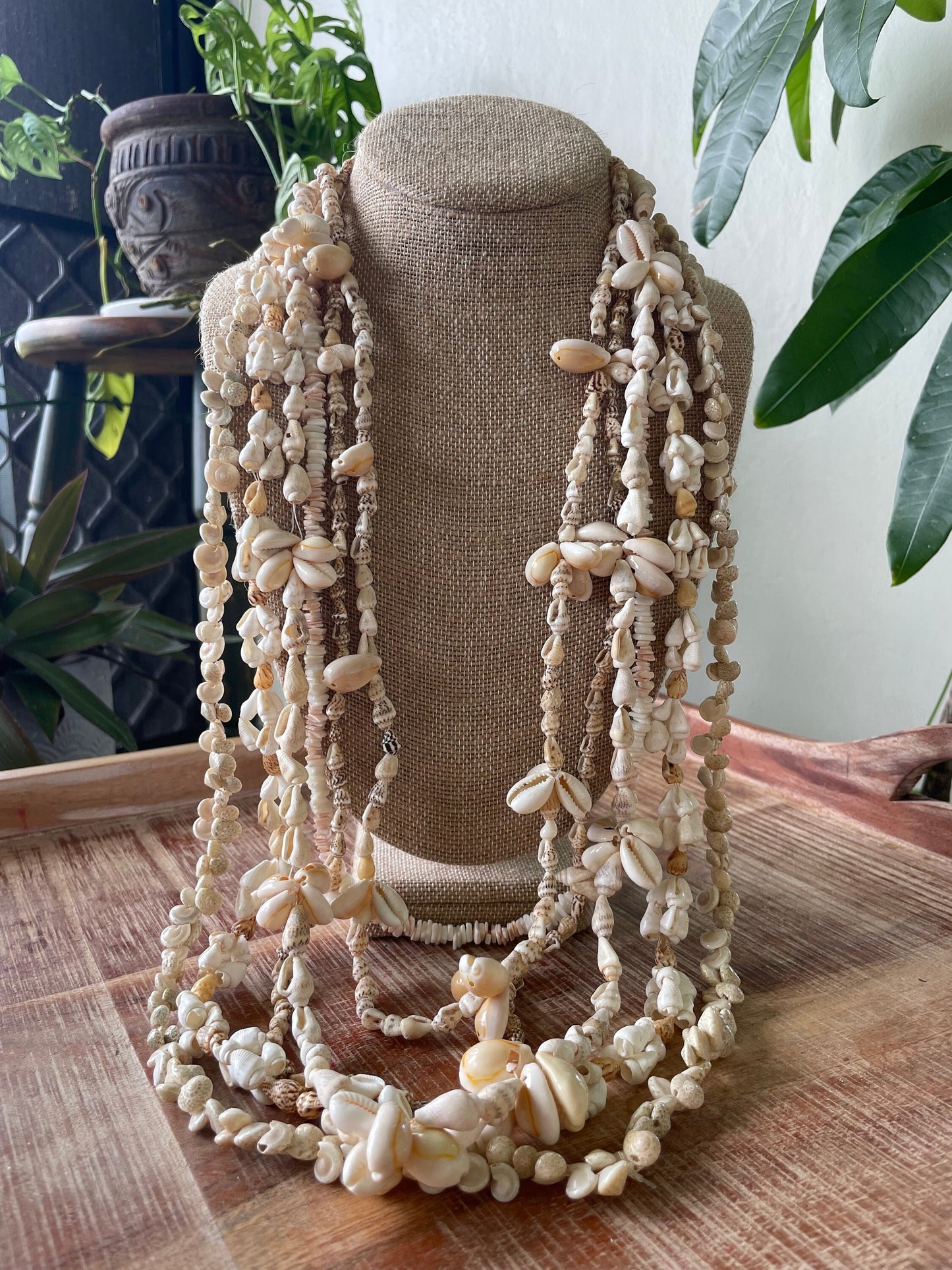Seashell Lei Set – Pink & White Puka Shells, Graduation Leis (39-28 inch)