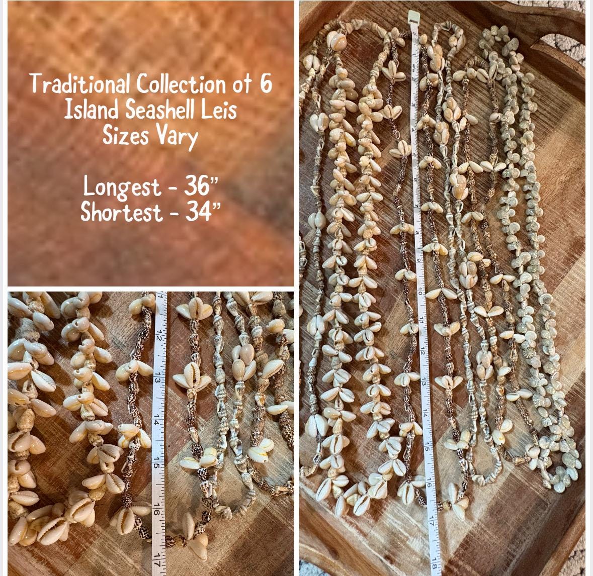 Seashell Lei Collection: Pacific Ocean Shell Leis, Set of 6