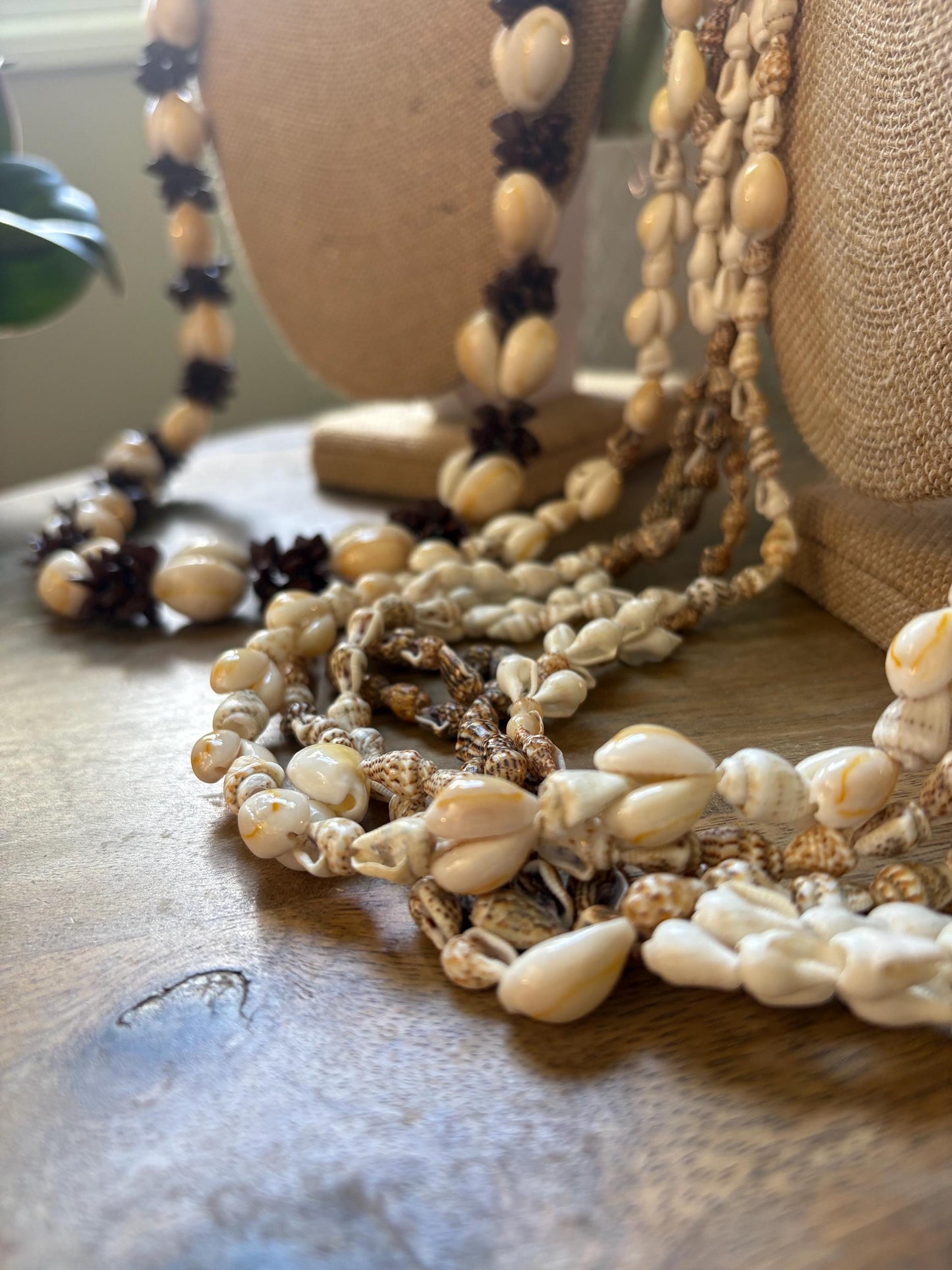 Seashell & Seed Lei Set – Pacific Island Celebration Leis