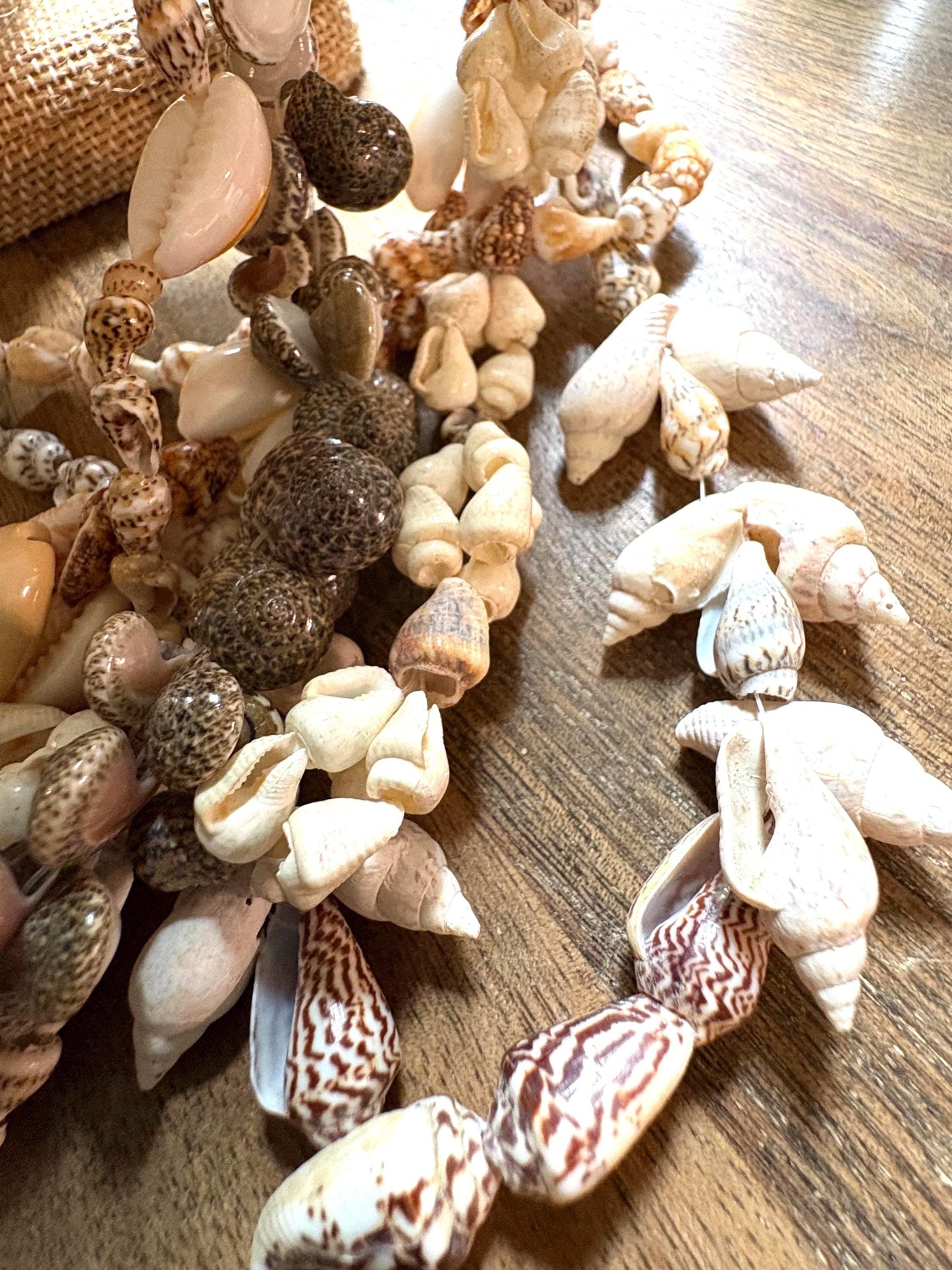 Authentic Seashell Lei Set: Pacific Island Celebration Leis