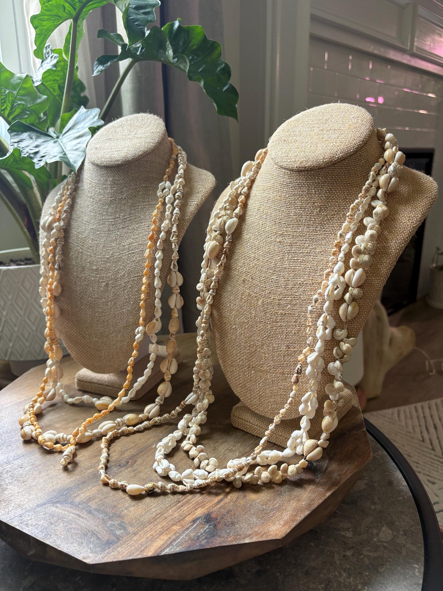 Seashell Lei Set: Pacific Ocean Shell Graduation Leis (34-36")