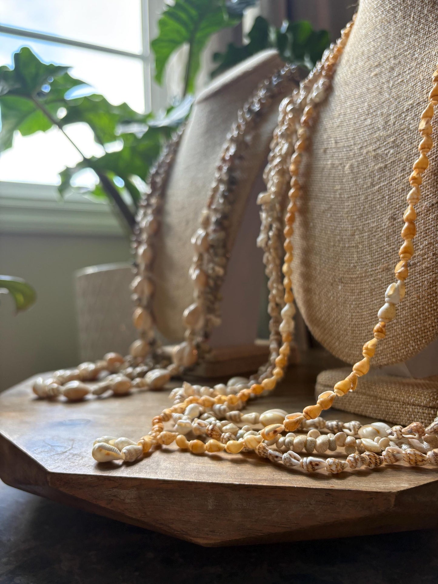 Seashell Lei Set: Pacific Ocean Authentic Celebration Necklace