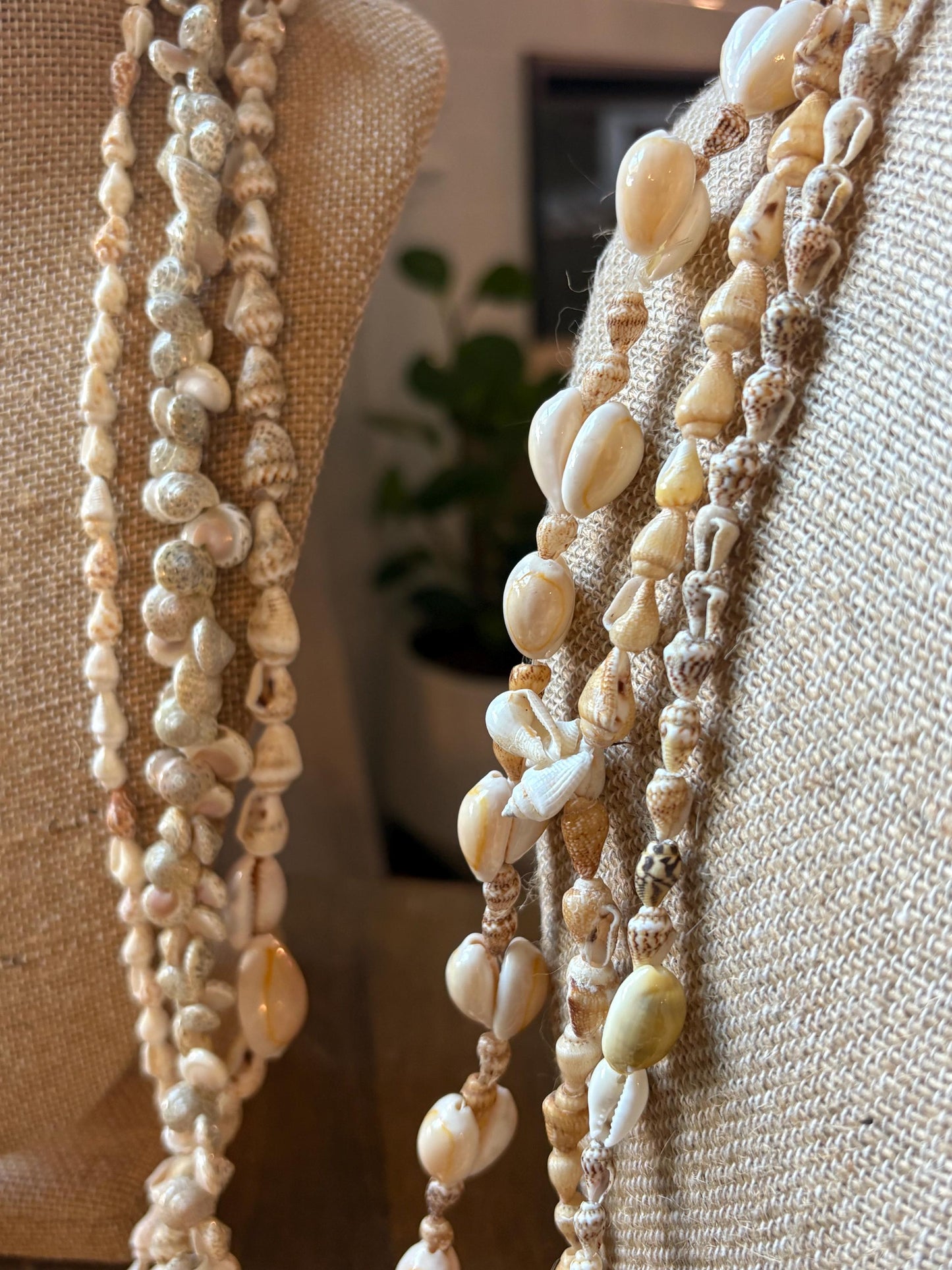 Seashell Lei Set – Pacific Ocean Shells, Celebration Leis